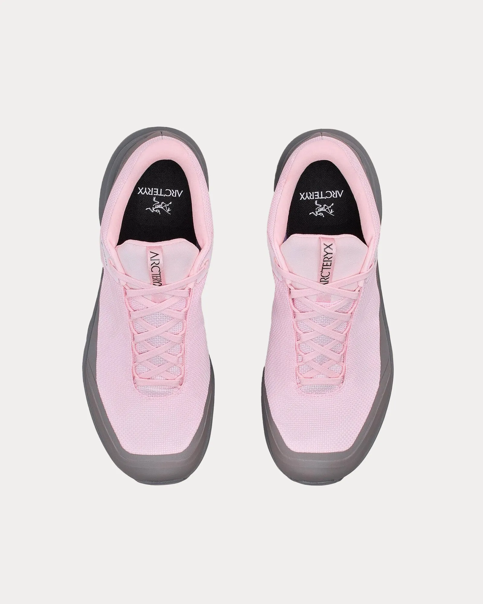Aerios FL 2 GTX Alpine Rose / Void Running Shoes