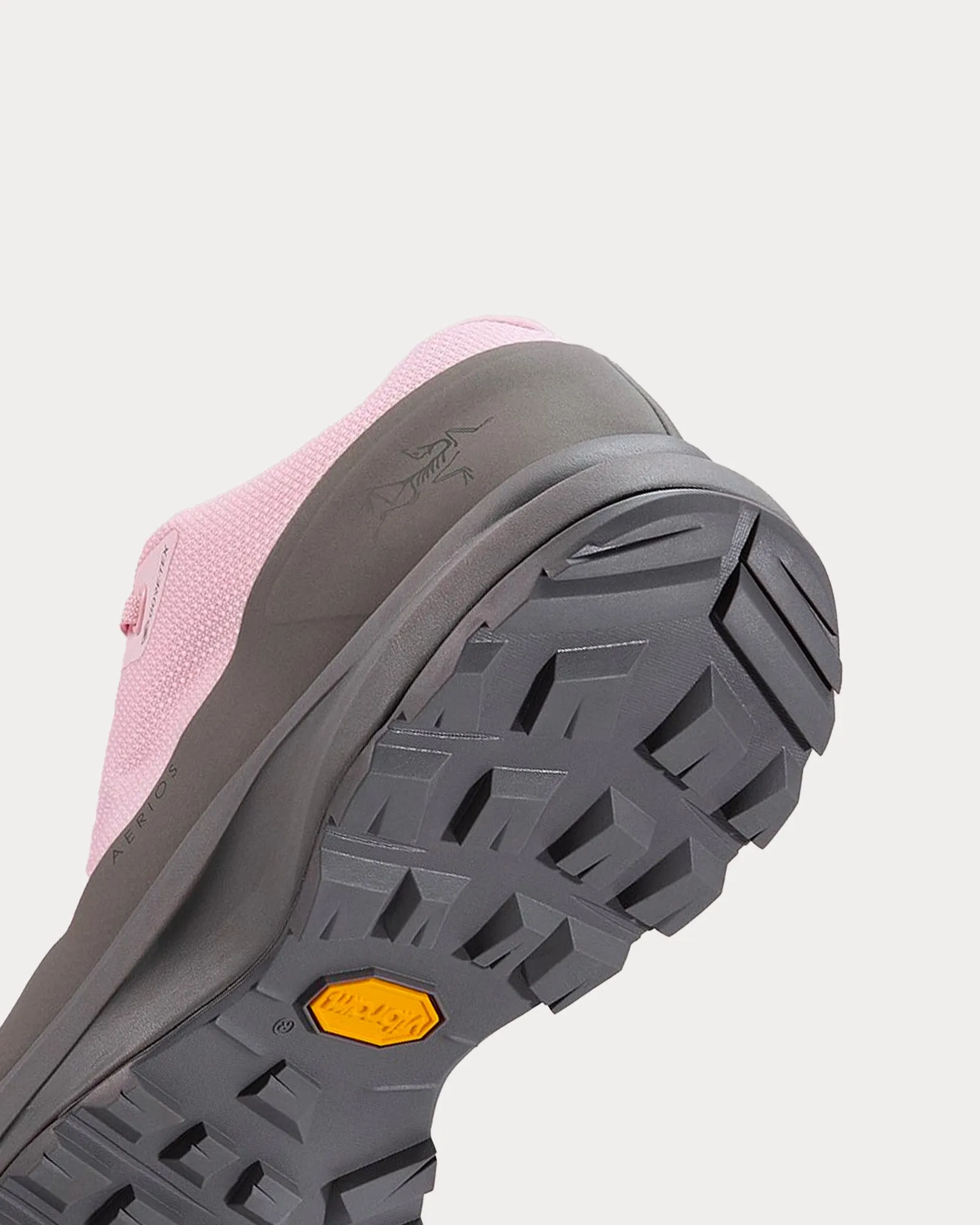 Aerios FL 2 GTX Alpine Rose / Void Running Shoes