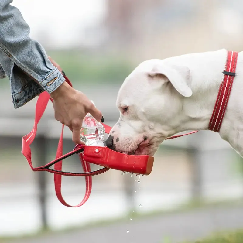 Collapsible Pet Water Bottle
