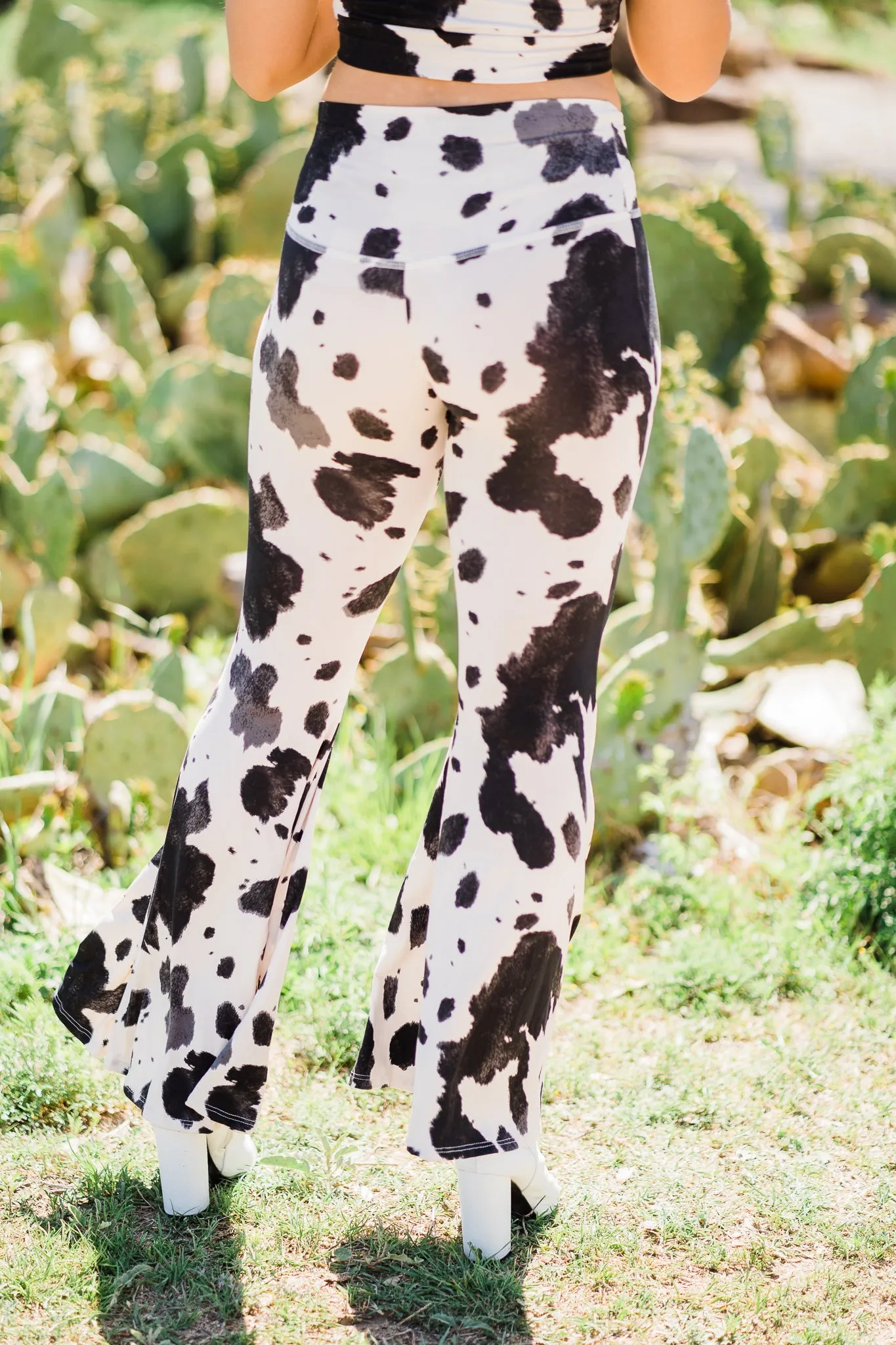 Cow Vibes Active Set