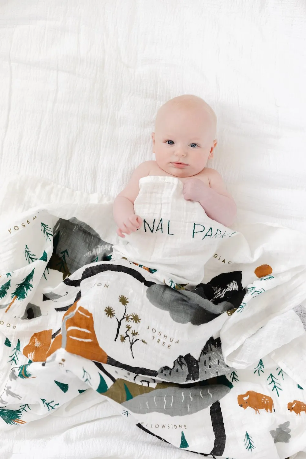 National Parks Swaddle by Clementine Kids