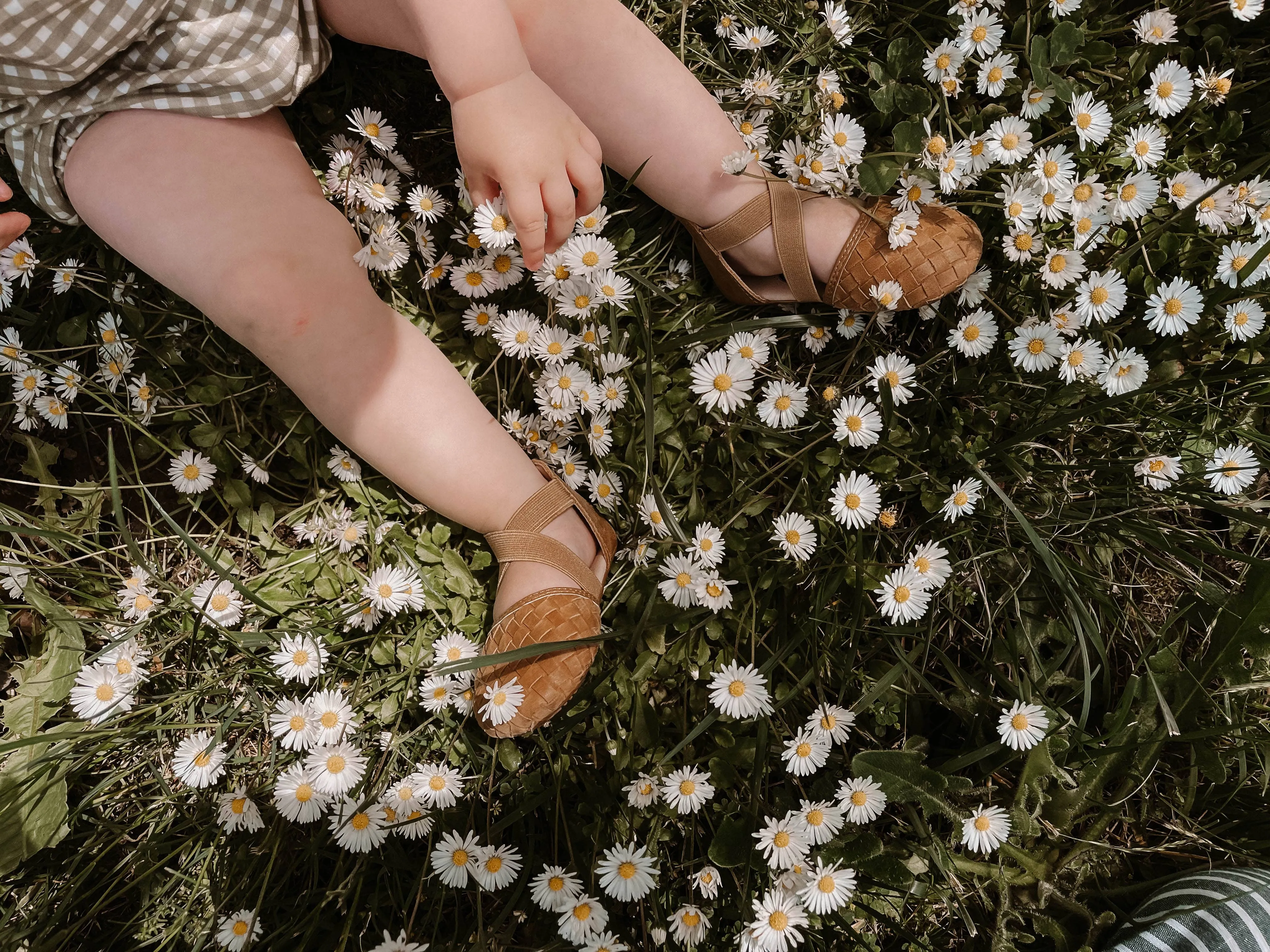 The Tinley Sandal