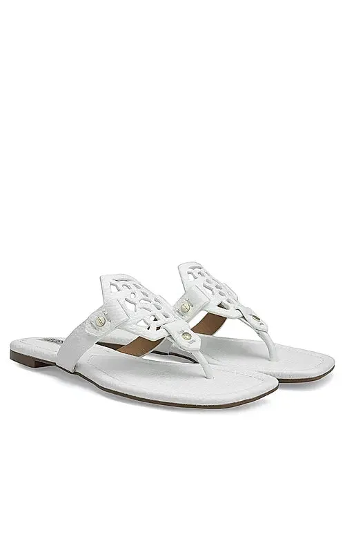 White Logo Sliders